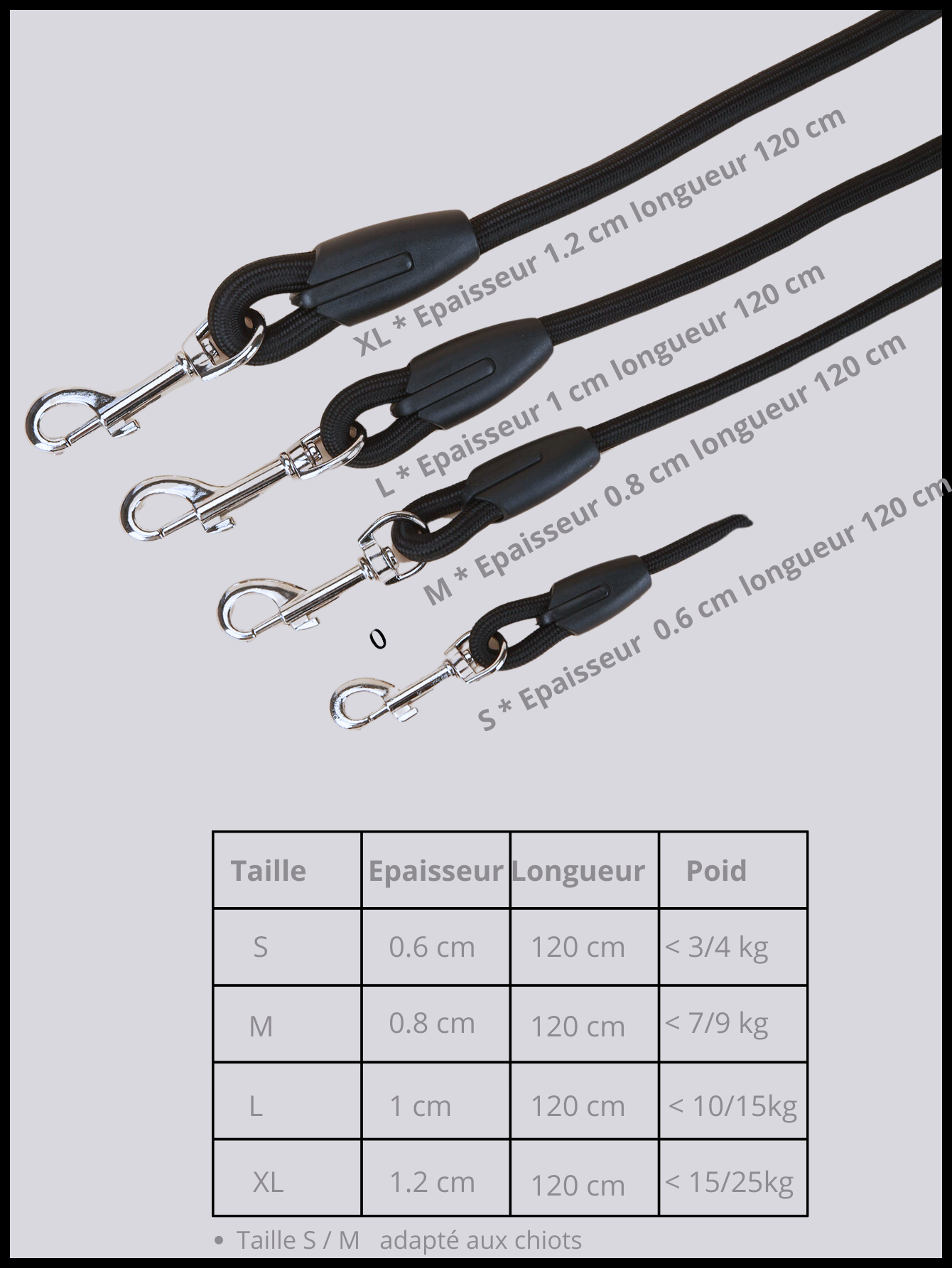 Laisse en Corde pour Staffie