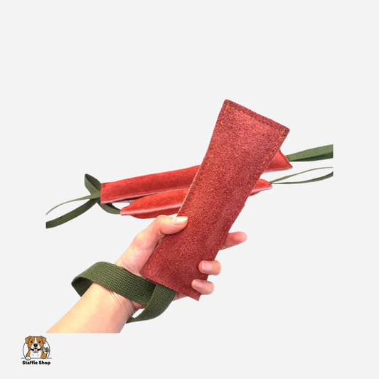 Boudin en cuir jeu de mordant pour Staffie