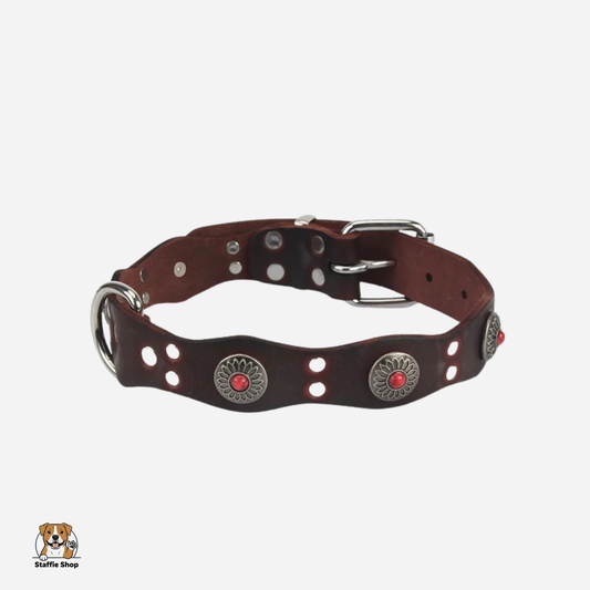 Collier en cuir fantaisie pour Staffie