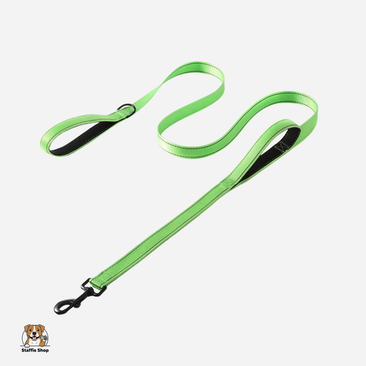 Laisse à double poignées staffie