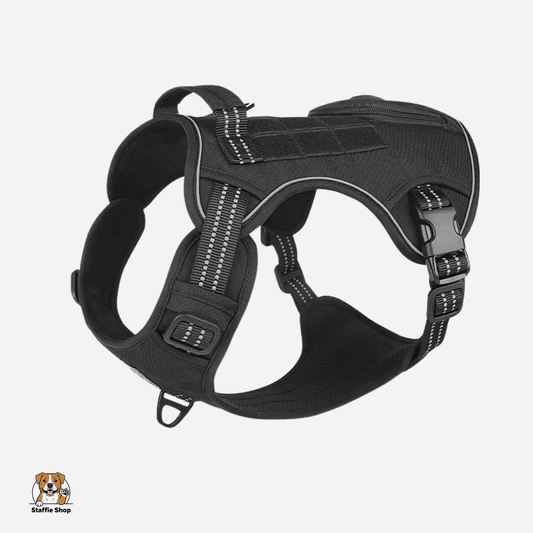 Harnais pour Staffie pochette intégrée pour sachets à déjections