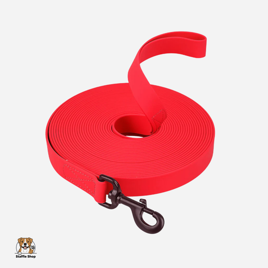 Longe d'apprentissage pour chiot et Staffie