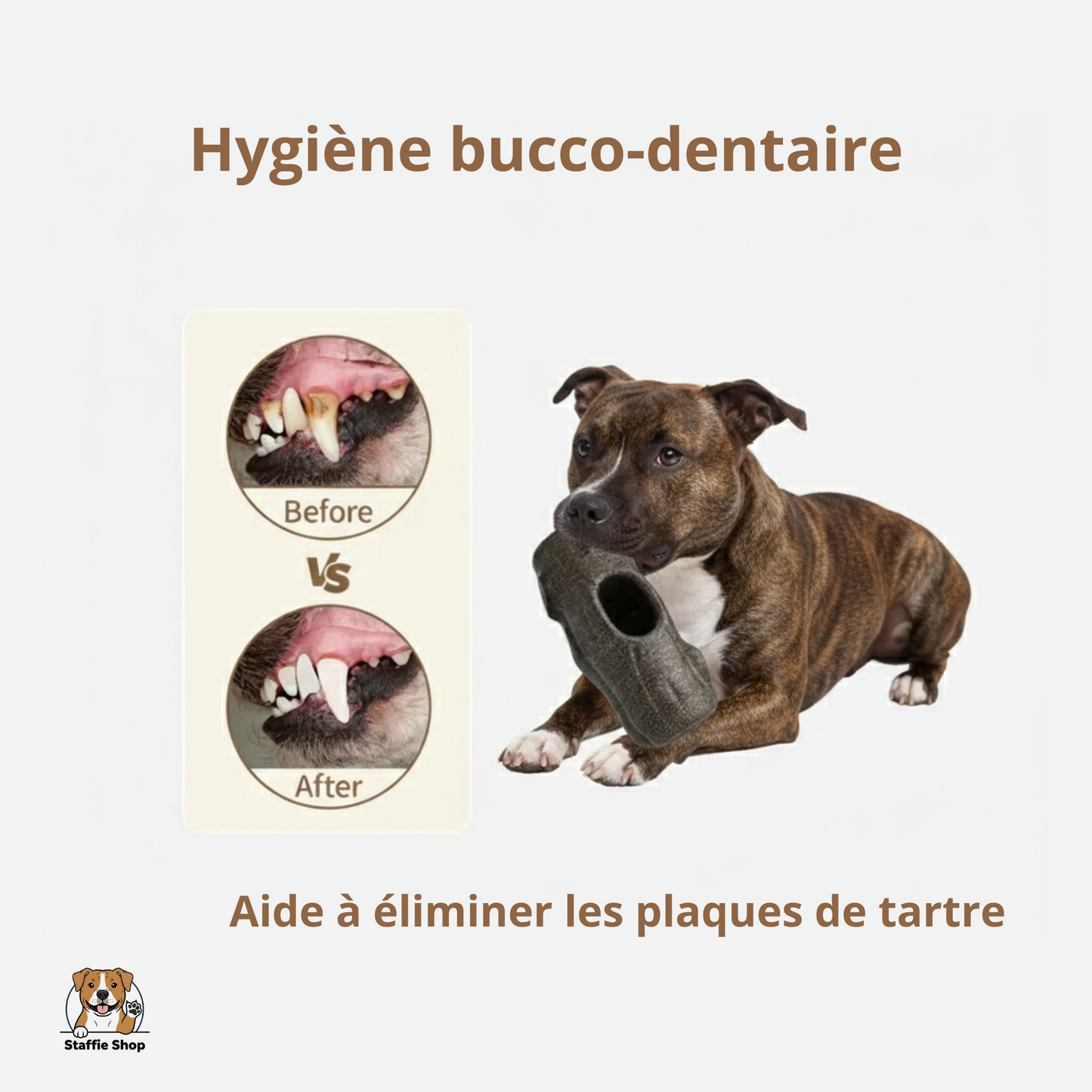Jouet d’occupation rechargeable pour Staffie