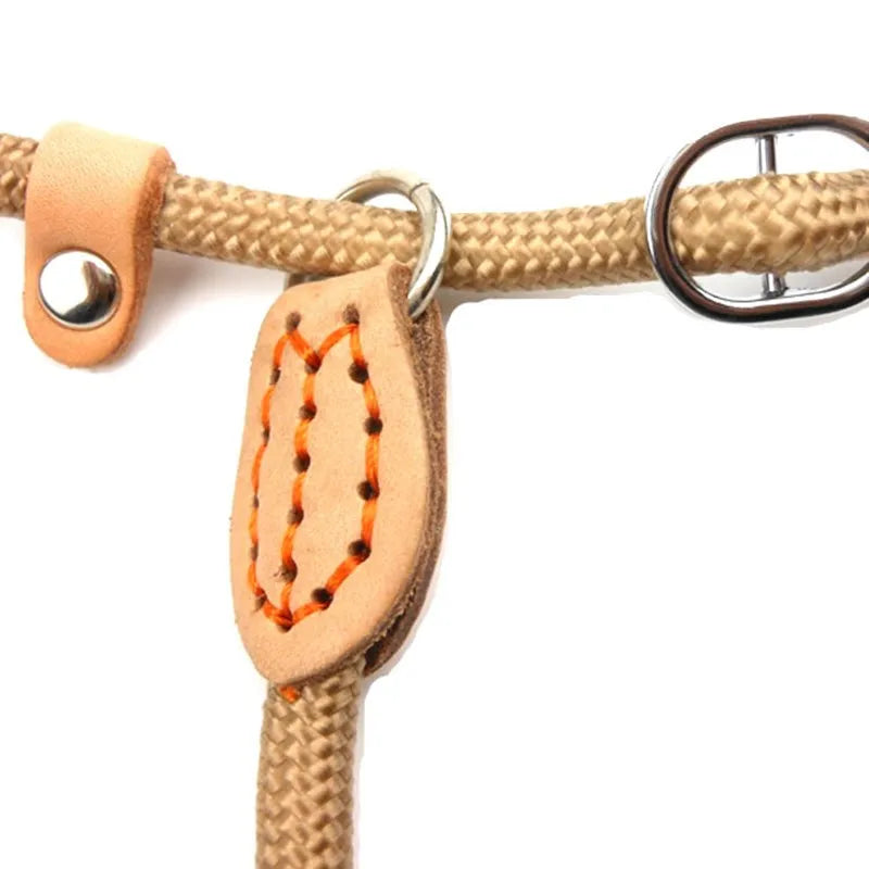 Laisse Collier à boucle réglable pour Staffie
