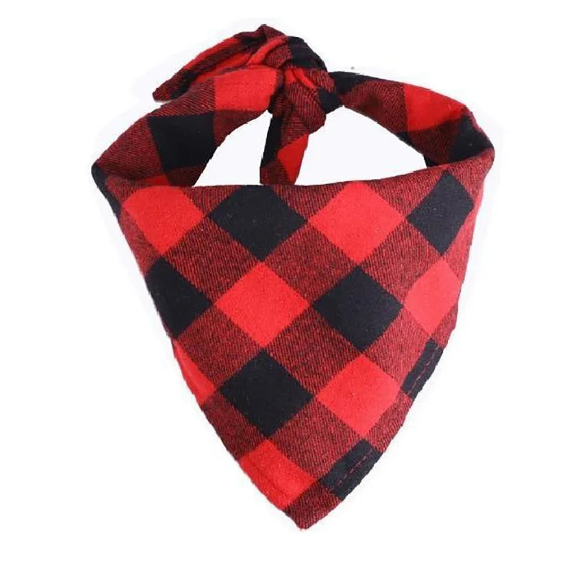 Bandana pour Staffie
