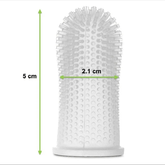 Brosse à dents pour staffie