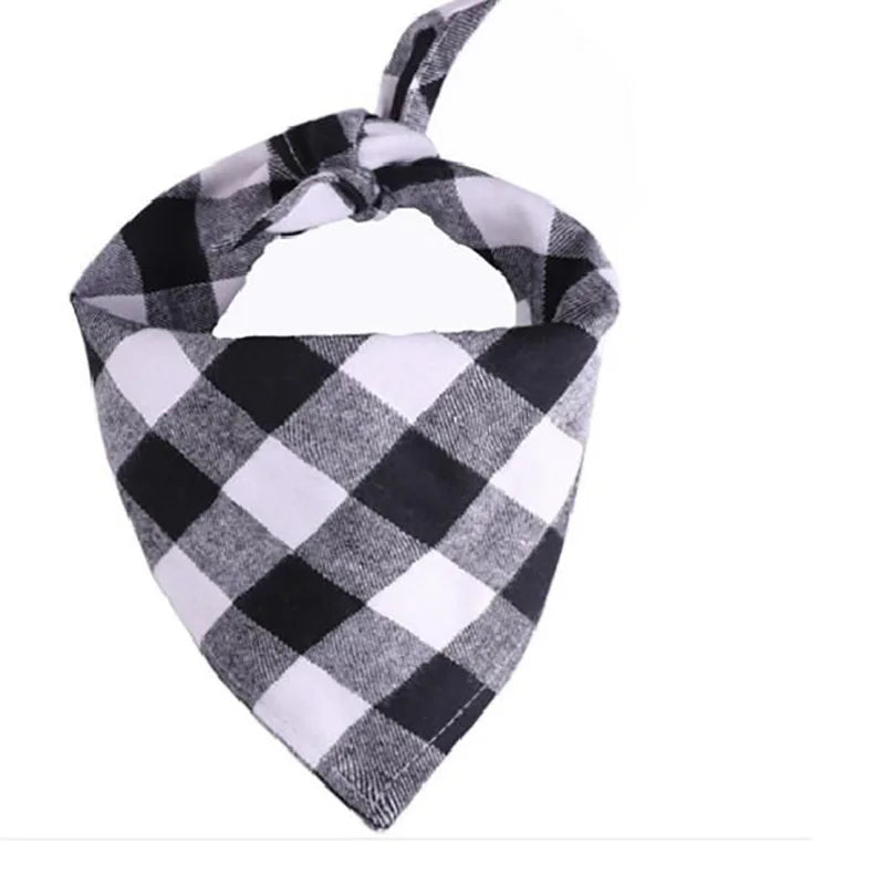 Bandana pour Staffie