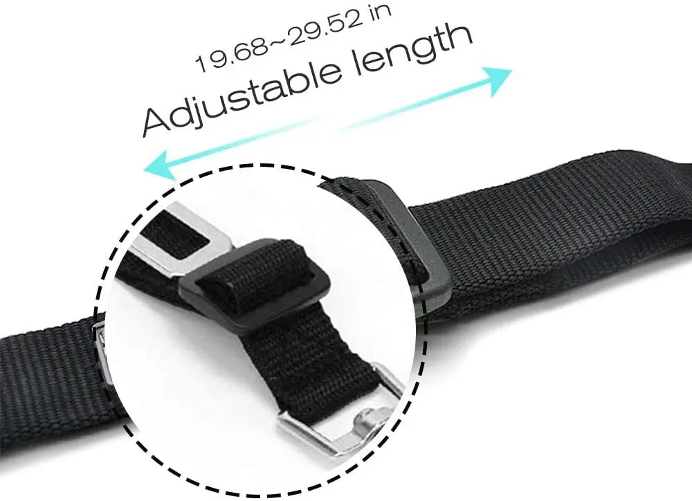 Ceinture de sécurité pour Staffie