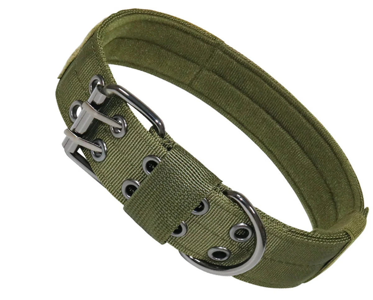 Collier en Nylon pour Staffie