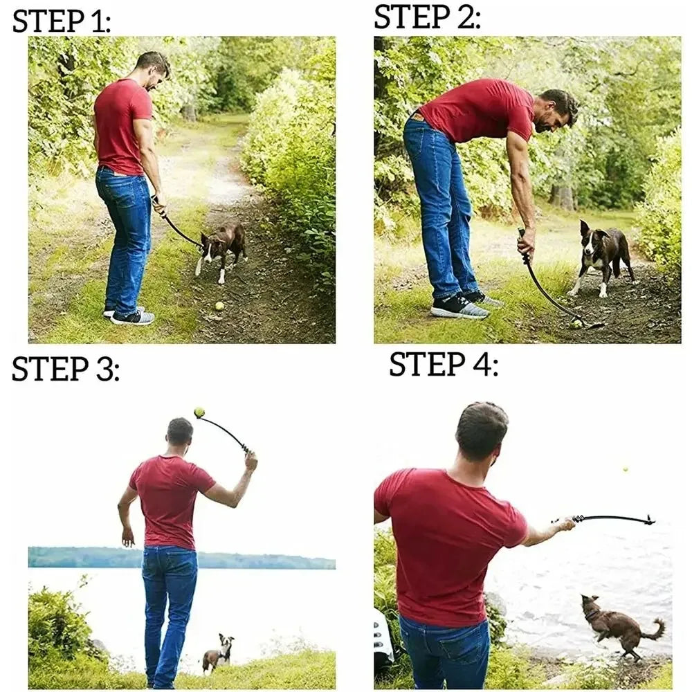 Bâton a lancer les balles pour Staffie