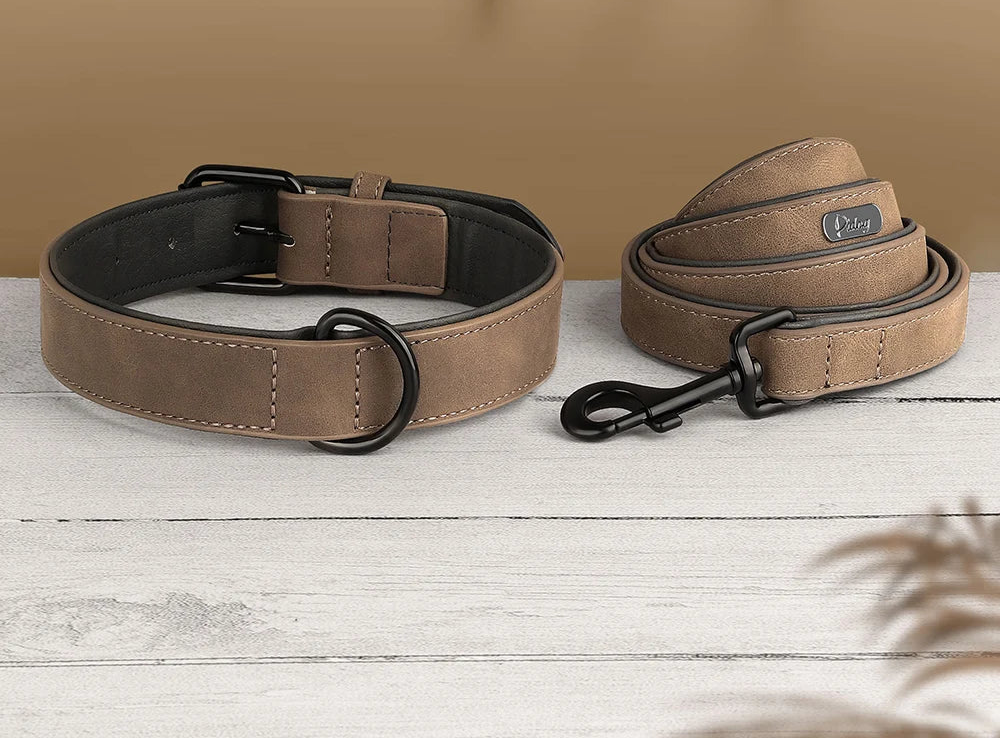 Ensemble Collier assortie pour Staffie