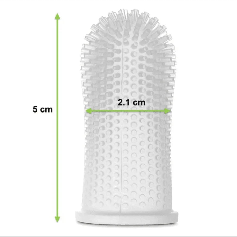 Brosse à dents pour staffie