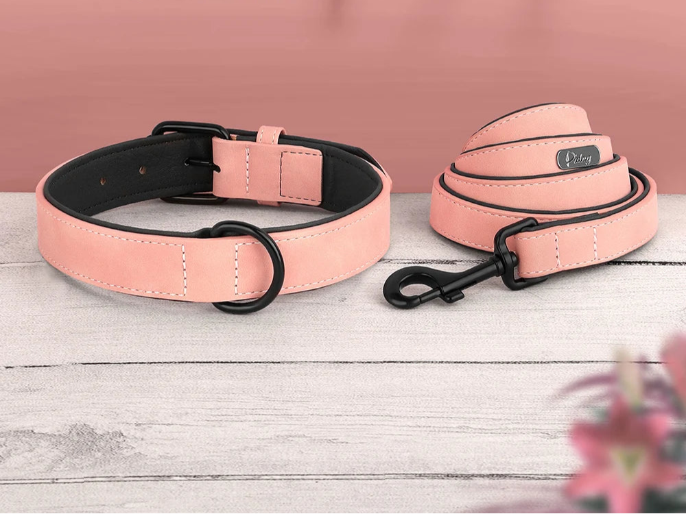 Ensemble Collier assortie pour Staffie