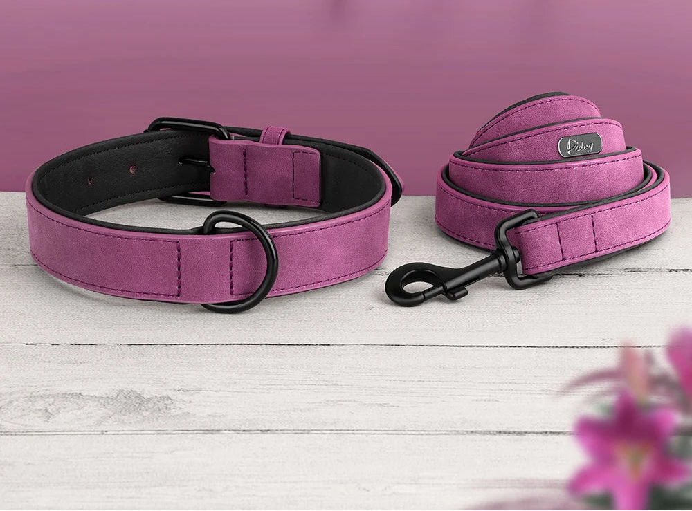 Ensemble Collier assortie pour Staffie