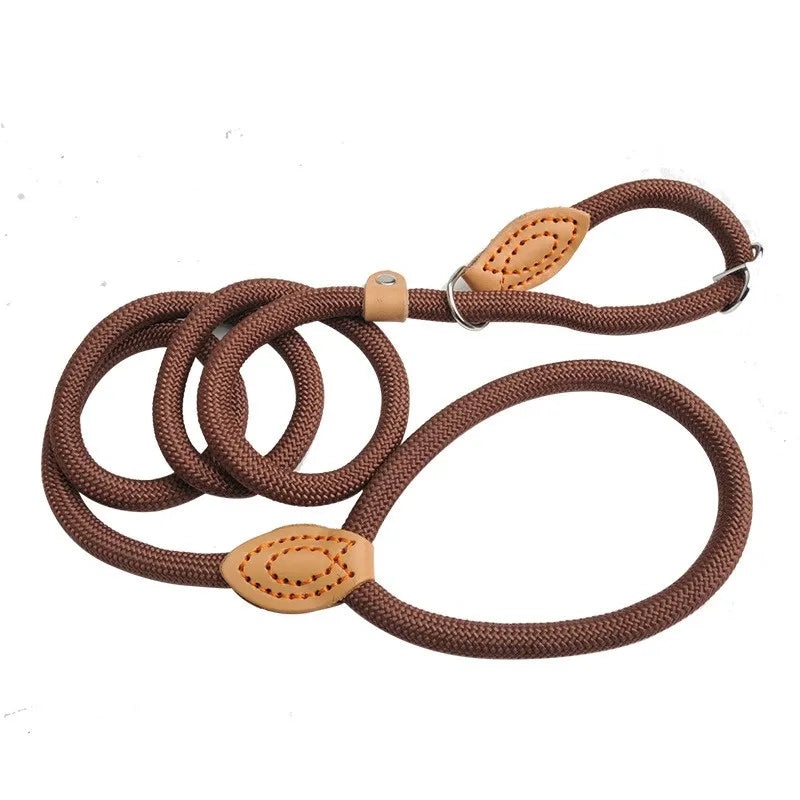 Laisse Collier à boucle réglable pour Staffie