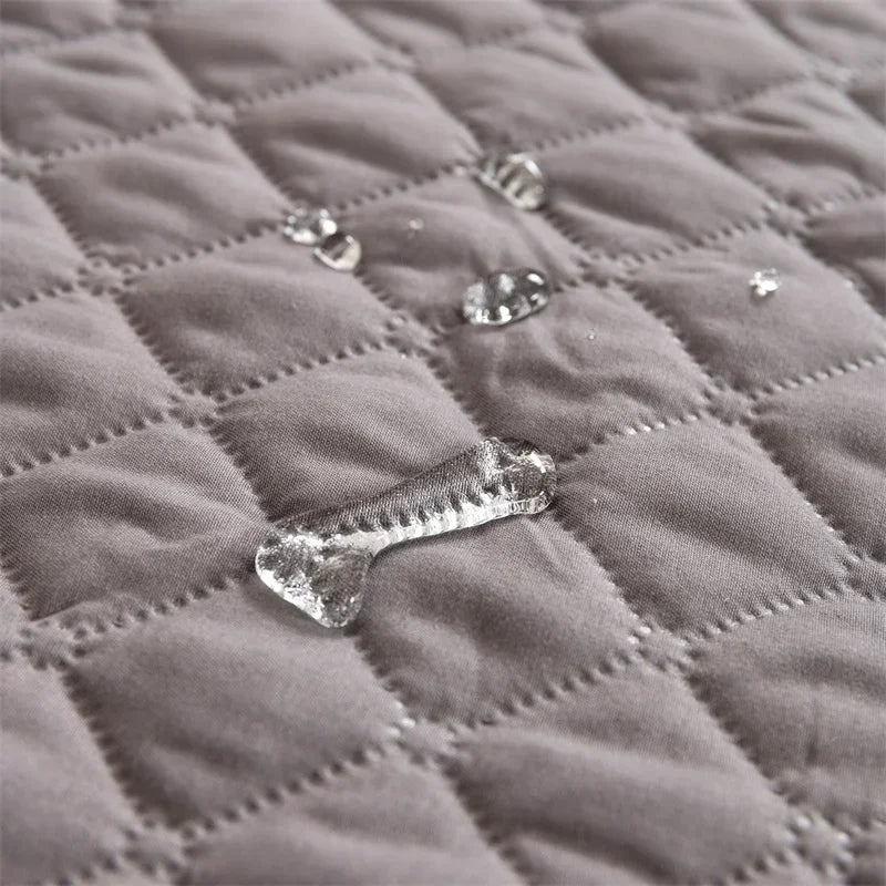 couverture protection de canapé pour Staffie