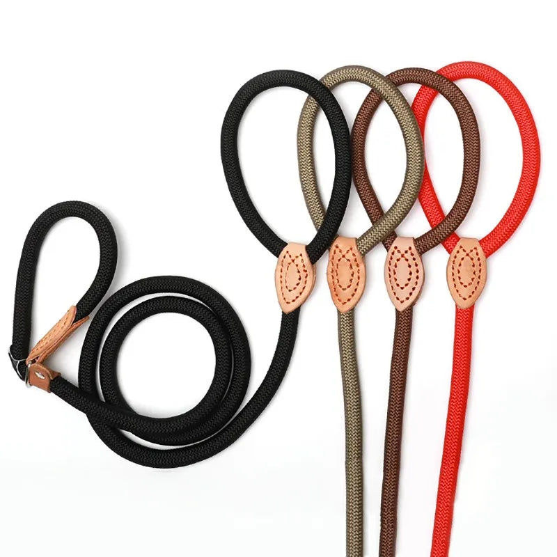 Laisse Collier à boucle réglable pour Staffie