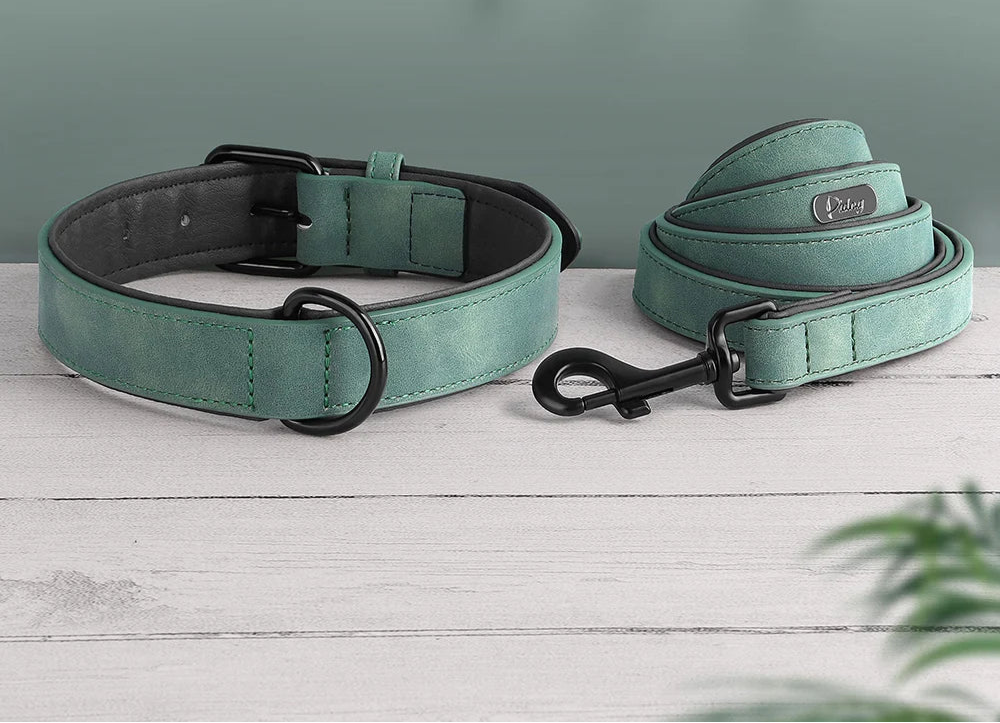Ensemble Collier assortie pour Staffie