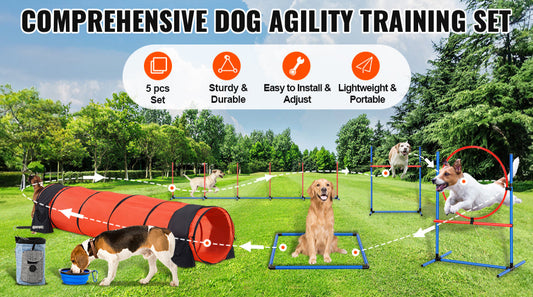 Kit d'accessoires d'agilité pour Staffie