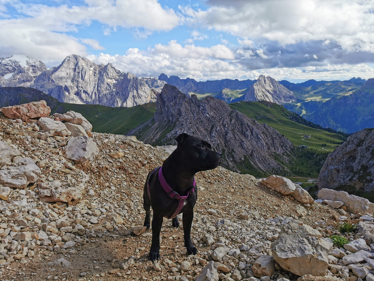 Accessoires pour balade & Voyages