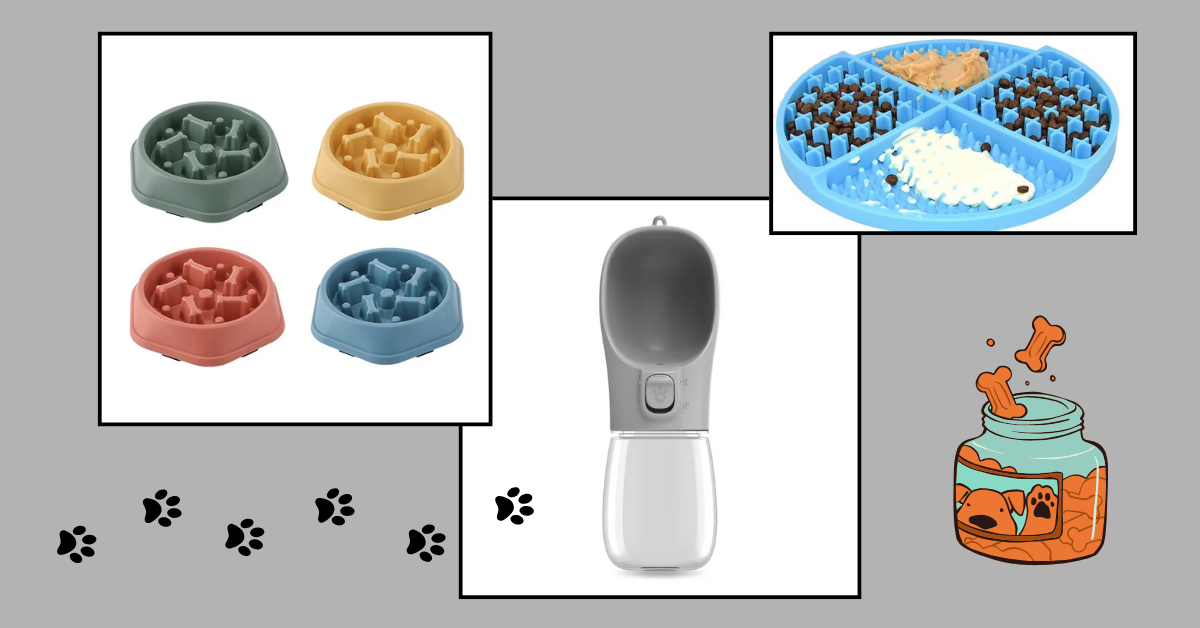 Accessoires Repas et hydratation pour Staffie