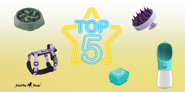 🏆Top 5 des favoris pour molosses