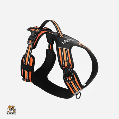 Harnais avec poignée pour Staffie et chiens puissants