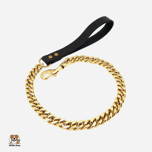 Laisse en chaîne pour Staffie