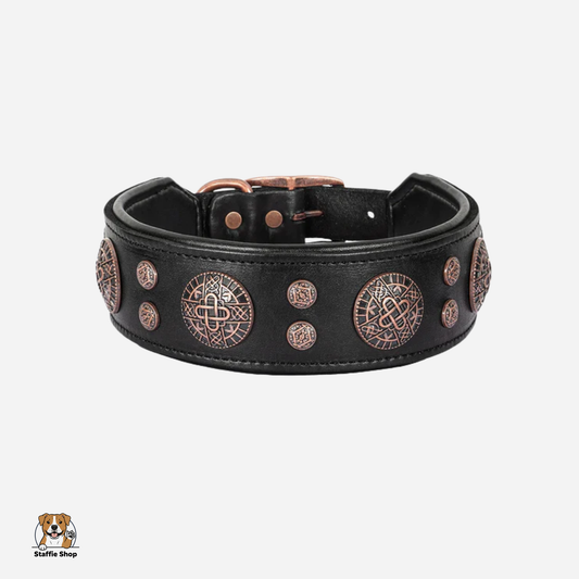 Collier en cuir large pour Staffie