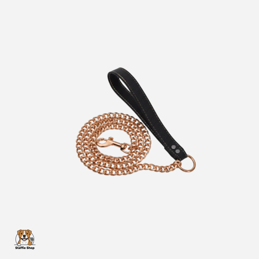 Laisse en chaîne Staffie
