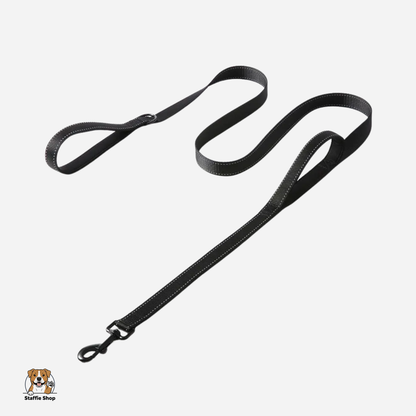 Laisse à double poignées staffie