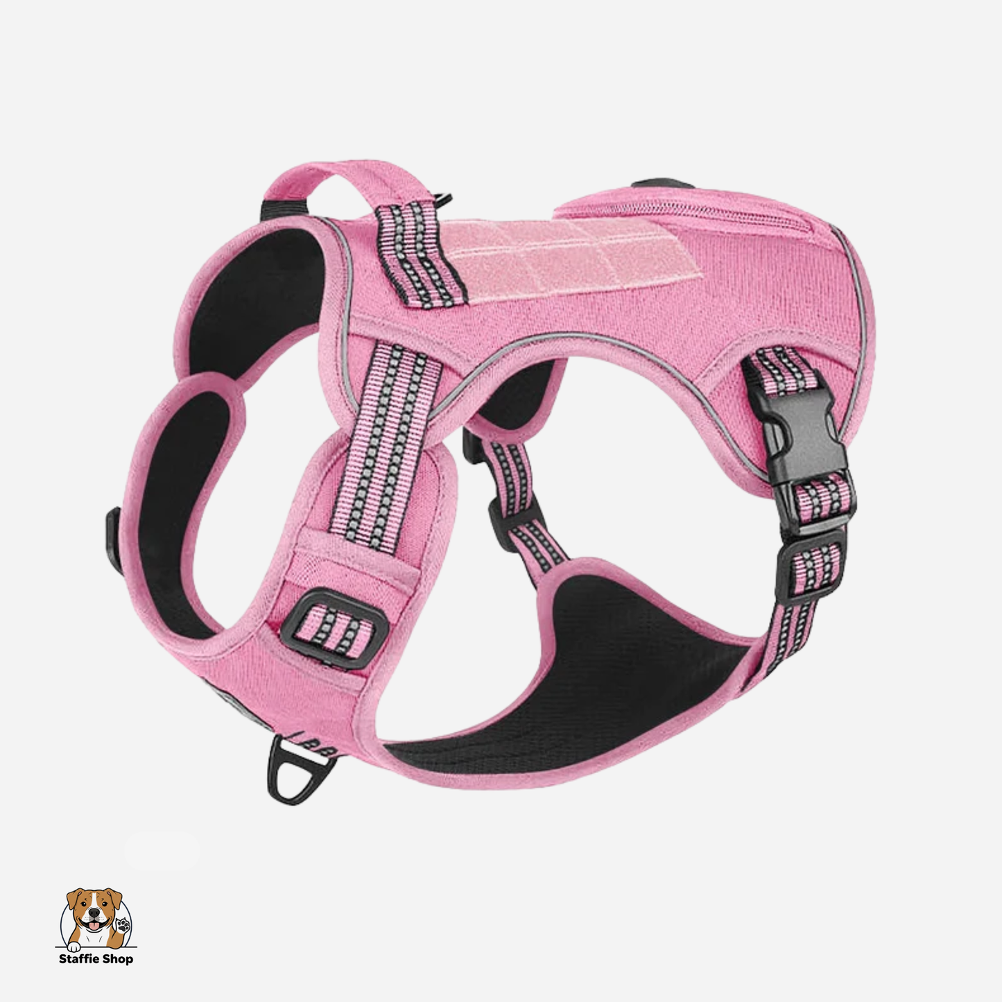 Harnais pour Staffie pochette intégrée pour sachets à déjections