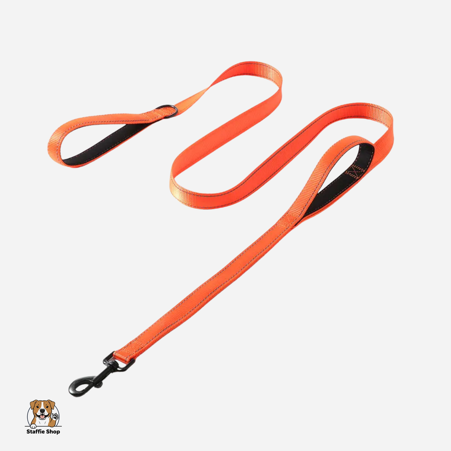 Laisse à double poignées staffie