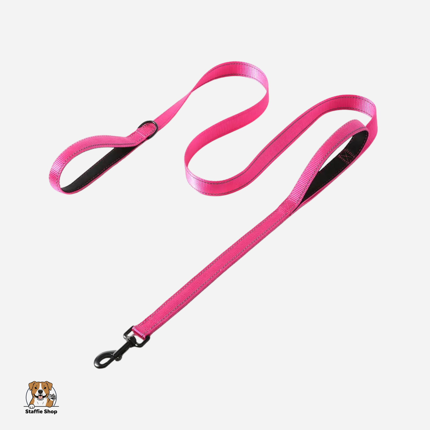Laisse à double poignées staffie