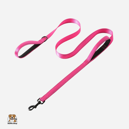 Laisse à double poignées staffie