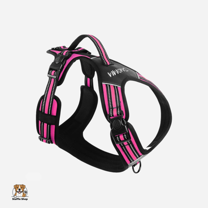 Harnais avec poignée pour Staffie et chiens puissants