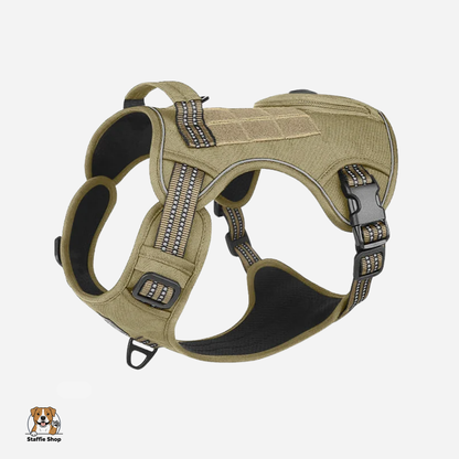 Harnais pour Staffie pochette intégrée pour sachets à déjections