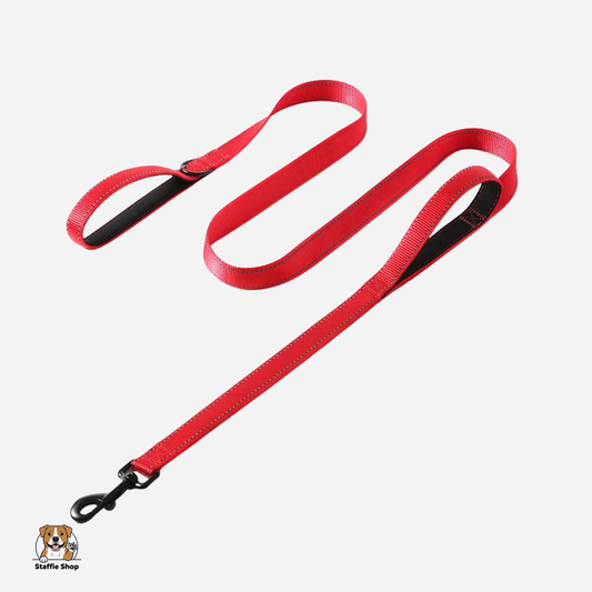 Laisse à double poignées staffie