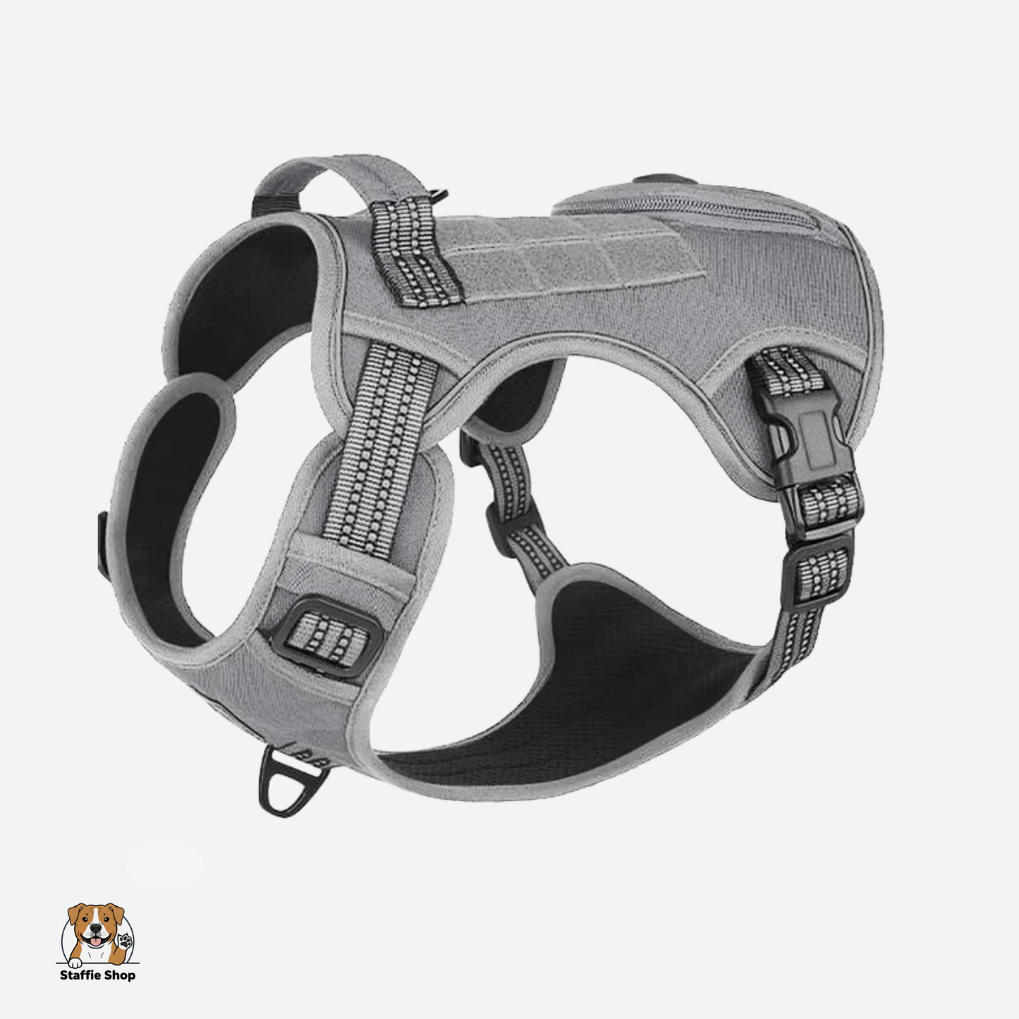 Harnais pour Staffie pochette intégrée pour sachets à déjections