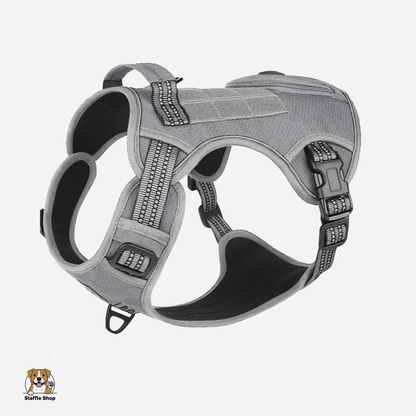 Harnais pour Staffie pochette intégrée pour sachets à déjections