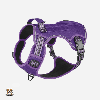 Harnais pour Staffie pochette intégrée pour sachets à déjections