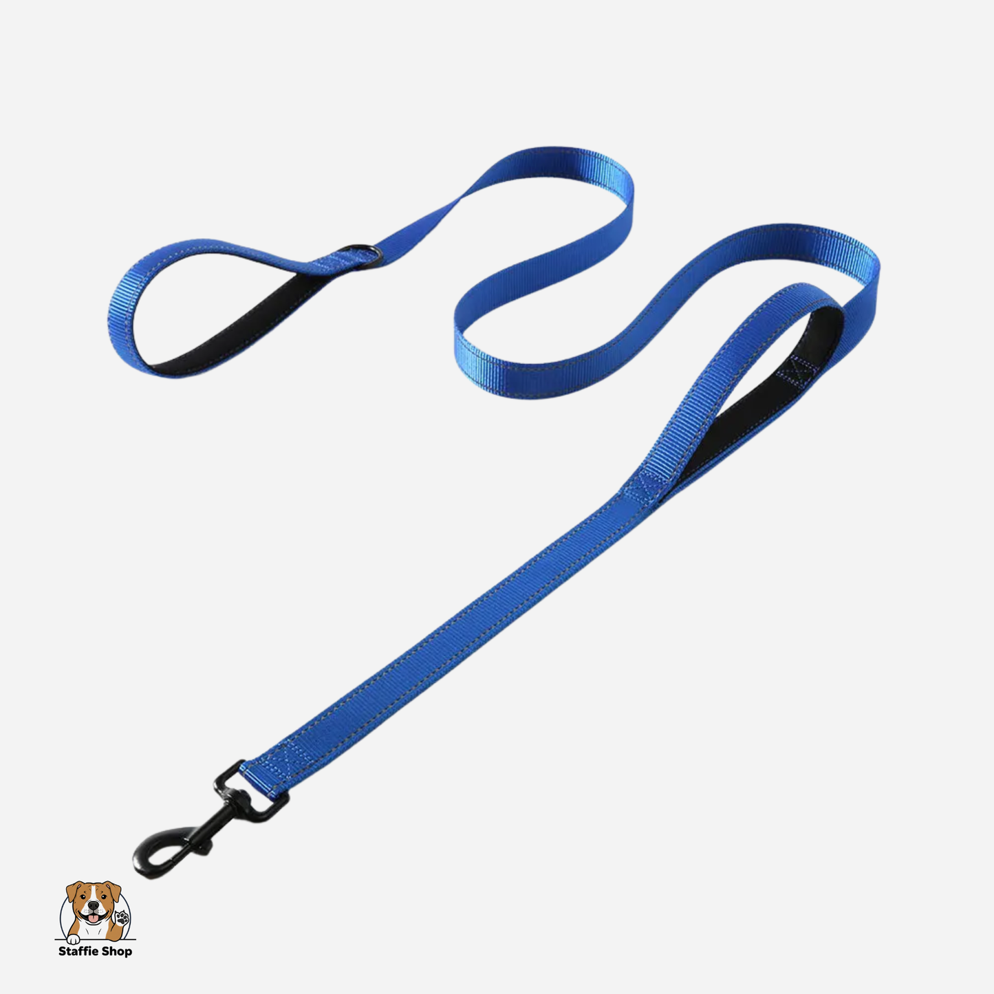 Laisse à double poignées staffie