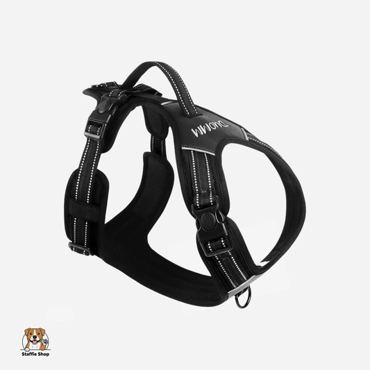 Harnais avec poignée pour Staffie et chiens puissants
