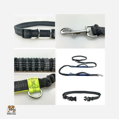 Laisse de canicross pour Staffie & chien sportif