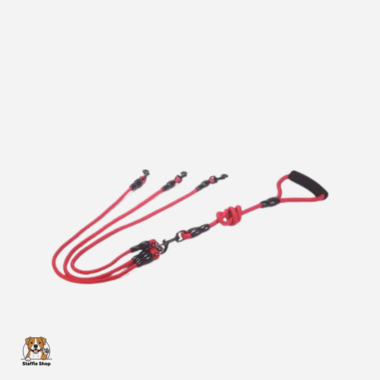 Laisse corde de 2 à 4 Chiens