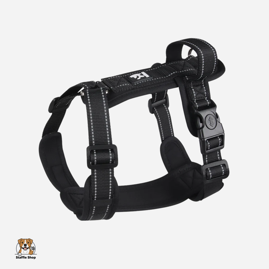 Harnais réfléchissant avec poignée pour Staffie