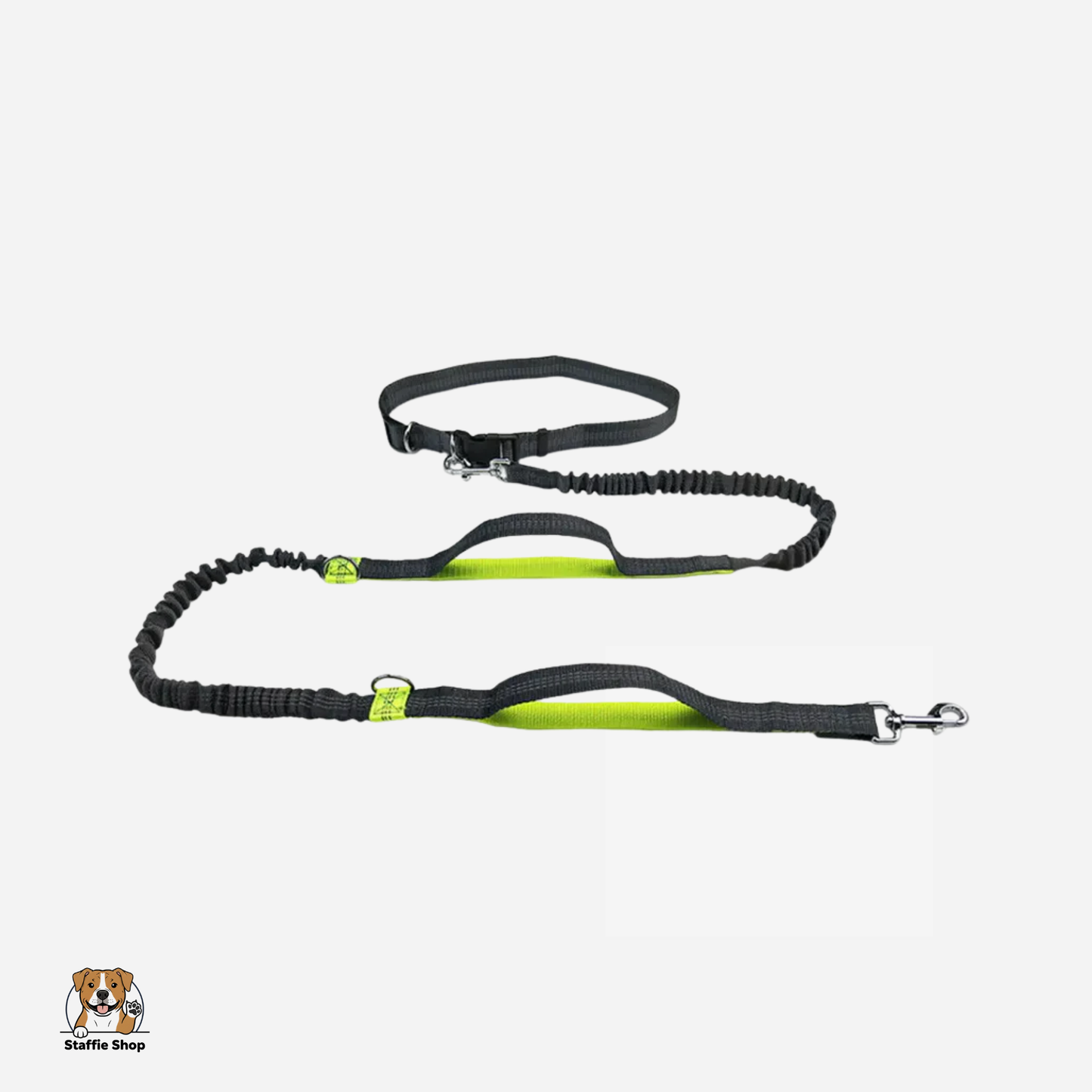 Laisse de canicross pour Staffie & chien sportif