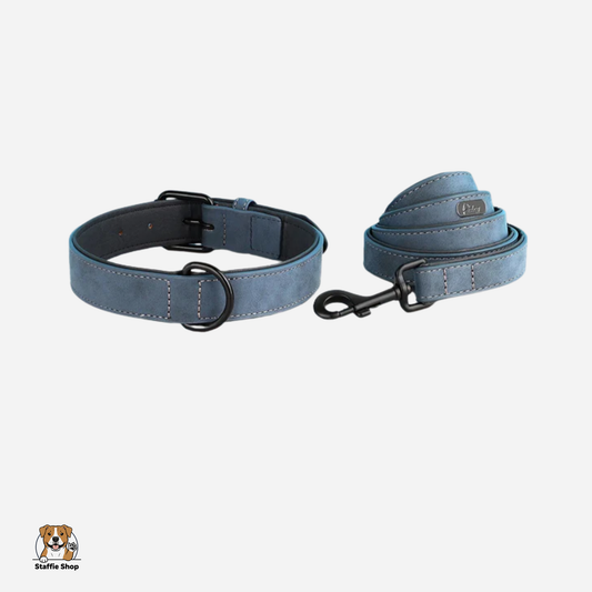 Ensemble Collier + laisse assortie