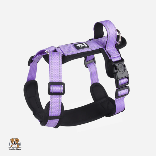 Harnais réfléchissant avec poignée pour Staffie