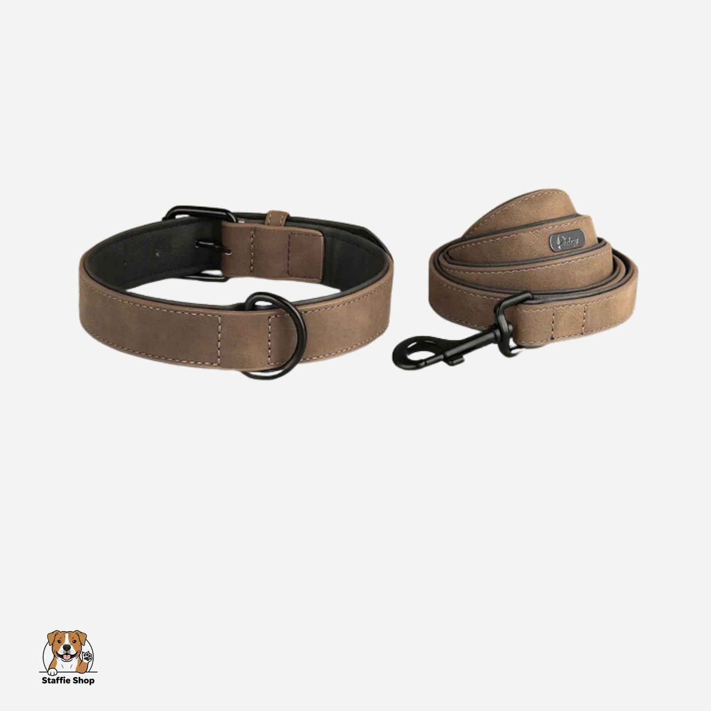 Ensemble Collier + laisse assortie
